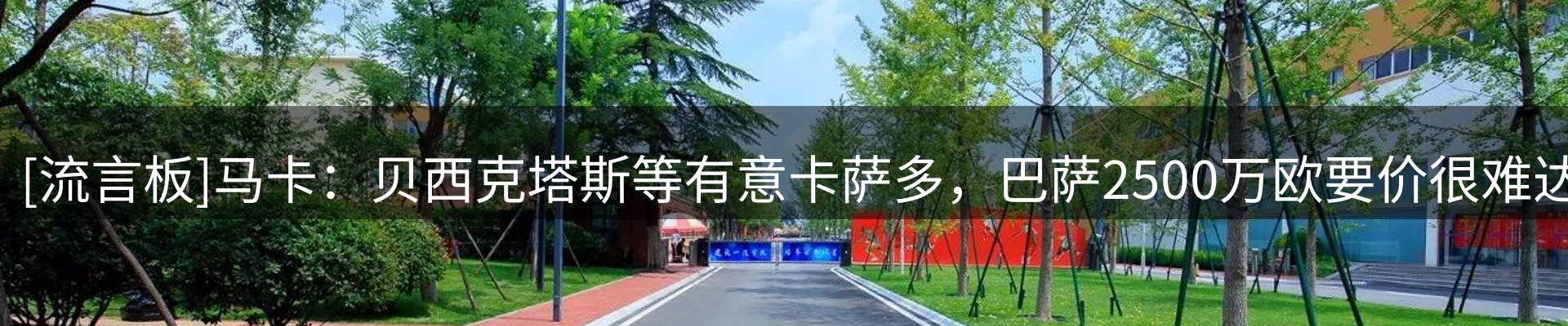 新闻动态